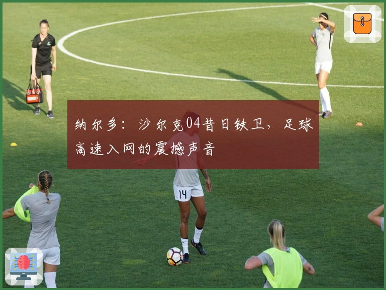 纳尔多：沙尔克04昔日铁卫，足球高速入网的震撼声音