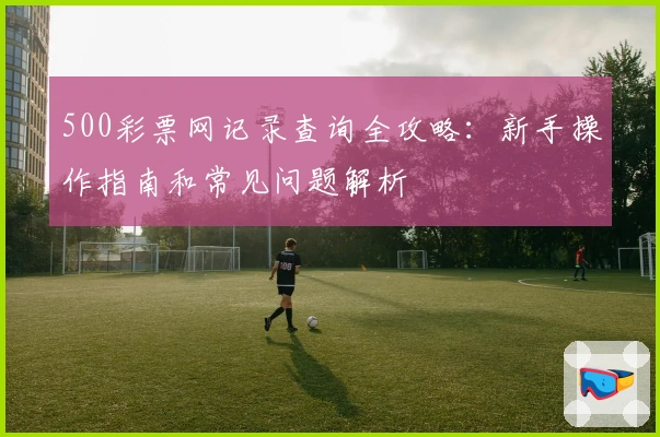 500彩票网记录查询全攻略：新手操作指南和常见问题解析