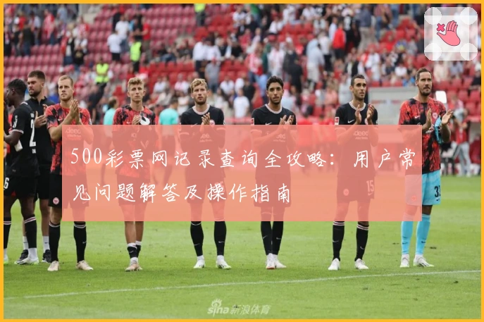500彩票网记录查询全攻略：用户常见问题解答及操作指南
