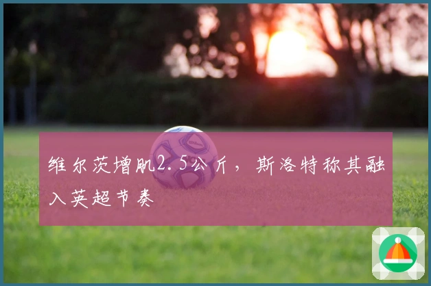 维尔茨增肌2.5公斤，斯洛特称其融入英超节奏