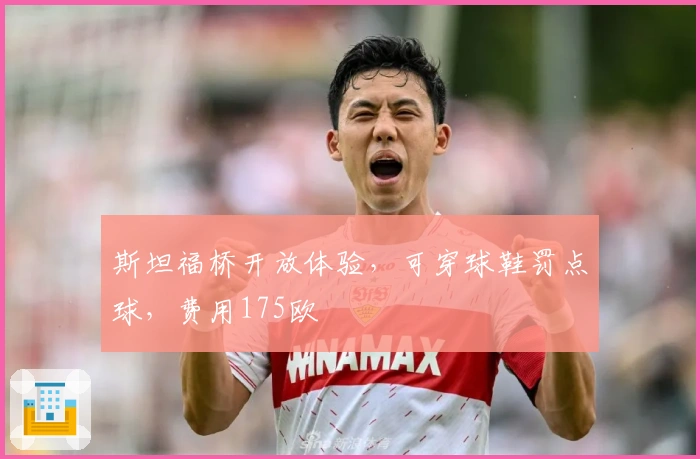 斯坦福桥开放体验，可穿球鞋罚点球，费用175欧