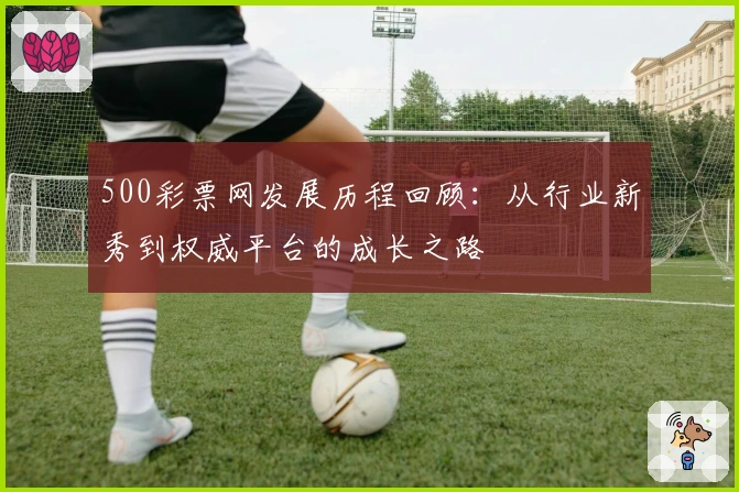 500彩票网发展历程回顾：从行业新秀到权威平台的成长之路